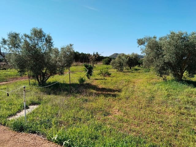 2 sypialnia Finka/Dom wiejski na sprzedaż w Felanitx - 345 000 € (Ref: 8538962)