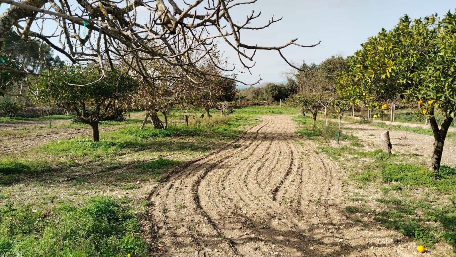 1 slaapkamer Finca/Landhuis te koop in Es Carritxo / El Carritxo met garage - € 215.000 (Ref: 9311123)