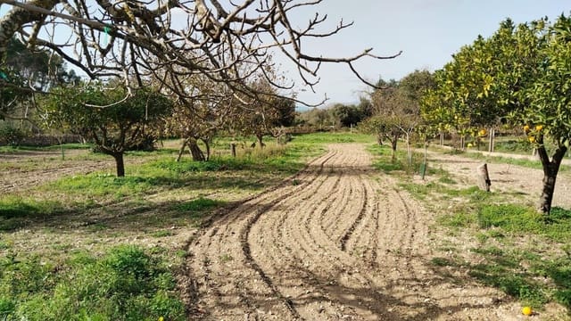 1 camera da letto Finca/Casa di Campagna in vendita in Es Carritxo / El Carritxo, Felanitx con garage - 215.000 € (Rif: 9311123)