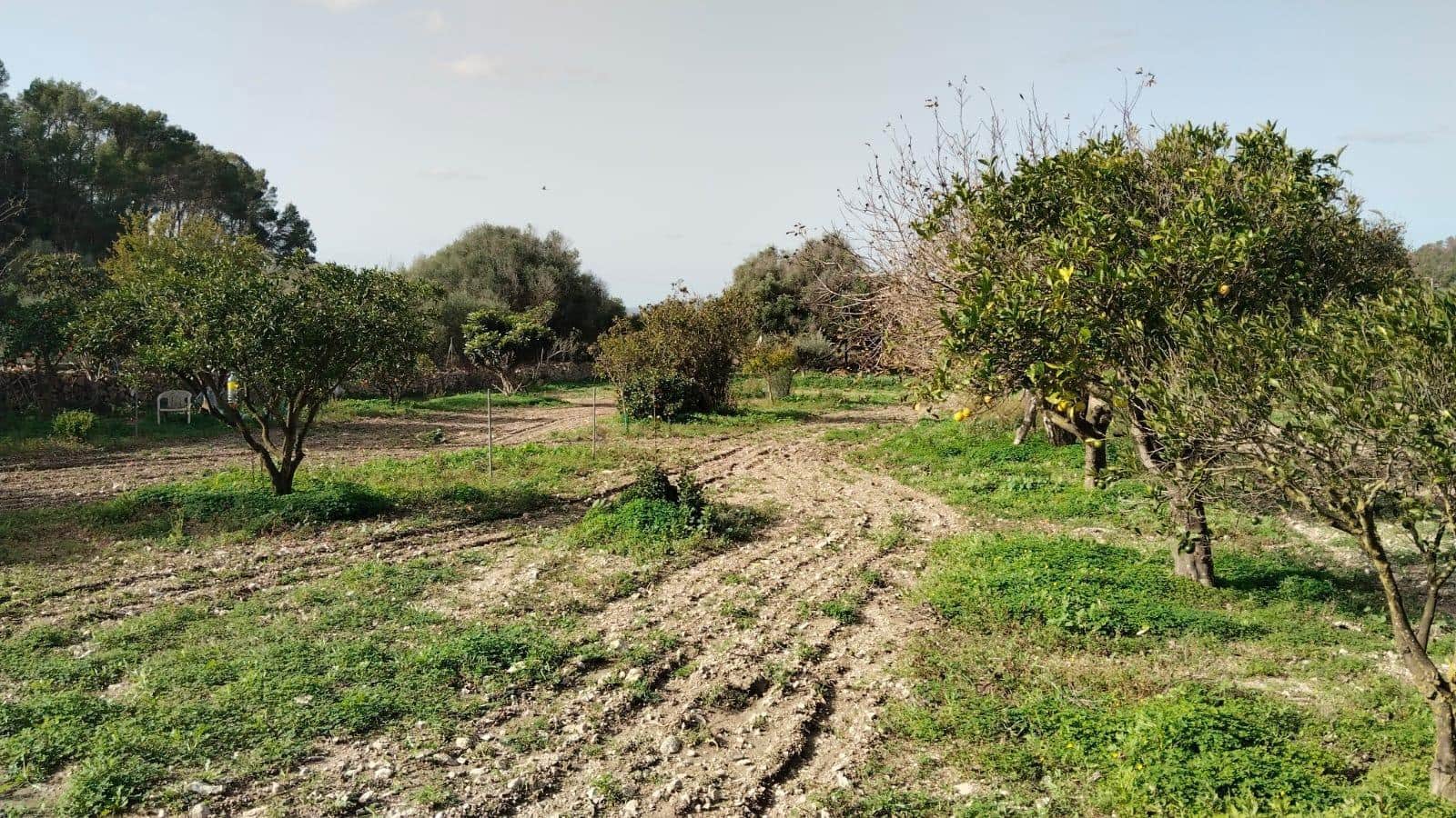 1 slaapkamer Finca/Landhuis te koop in Es Carritxo / El Carritxo met garage - € 215.000 (Ref: 9311123)