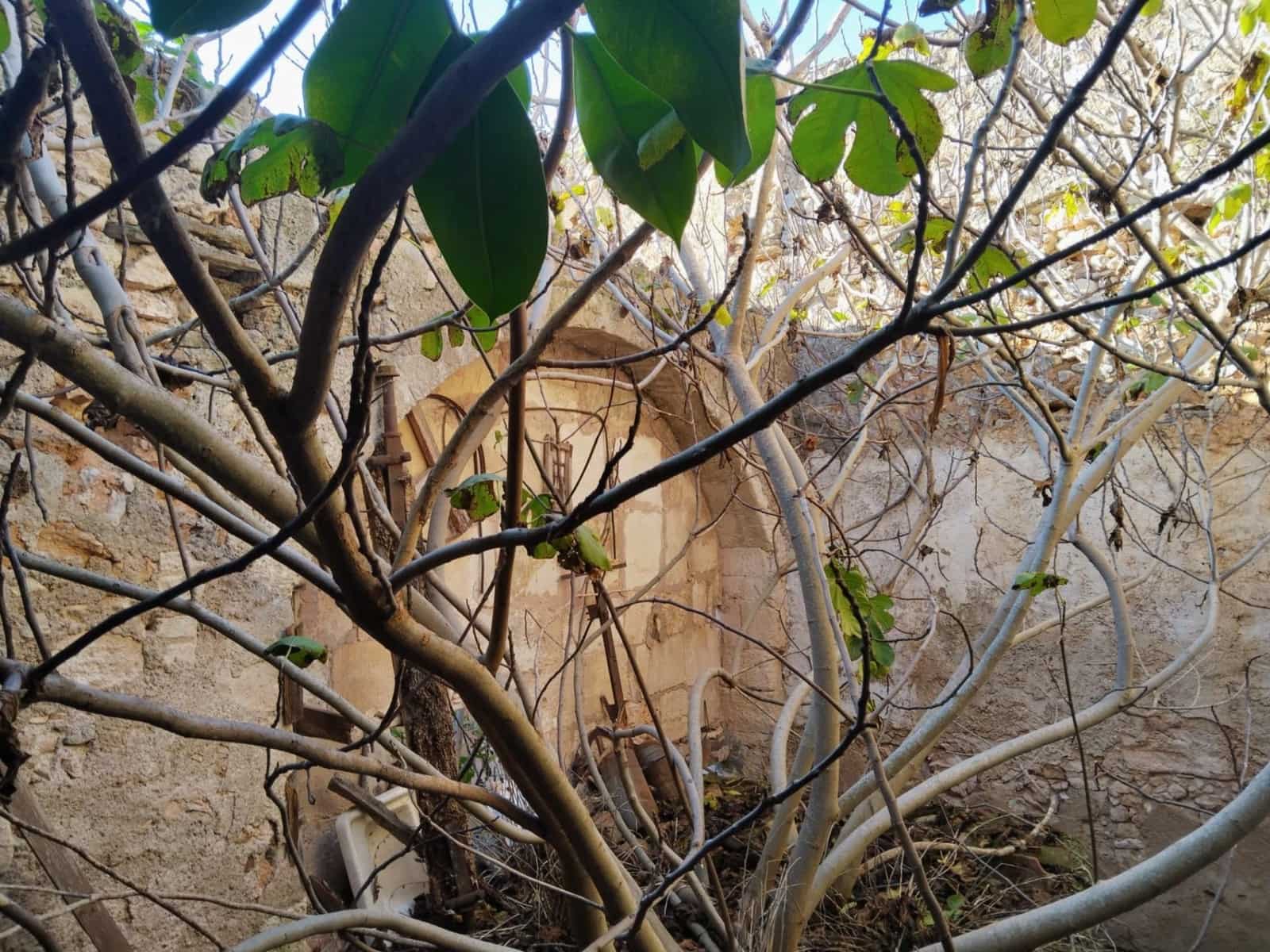 4 sypialnia Dom na sprzedaż w Felanitx z garażem - 425 000 € (Ref: 9428000)