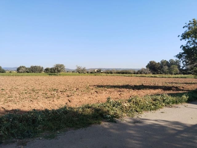 Teren niezagospodarowany na sprzedaż w Campos - 25 000 € (Ref: 9721982)