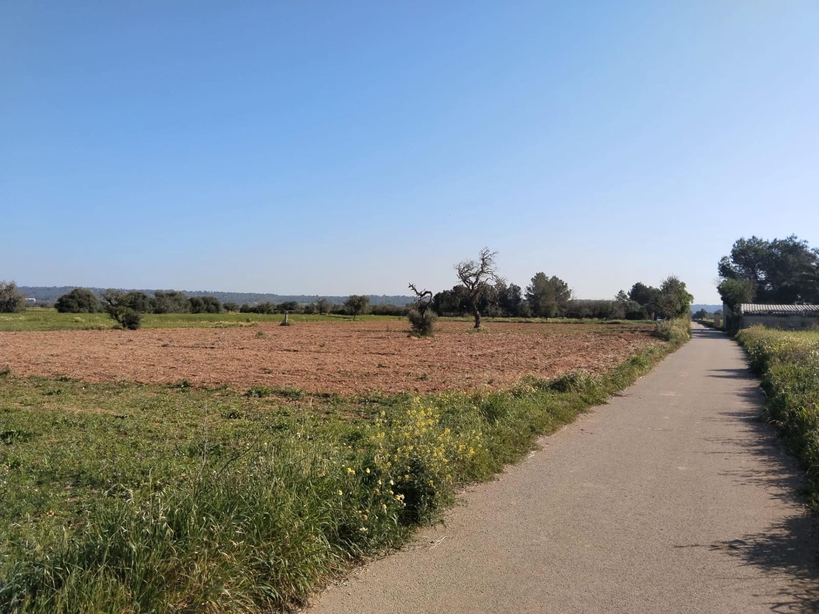 Undeveloped Land for sale in Campos - € 25,000 (Ref: 9721982)