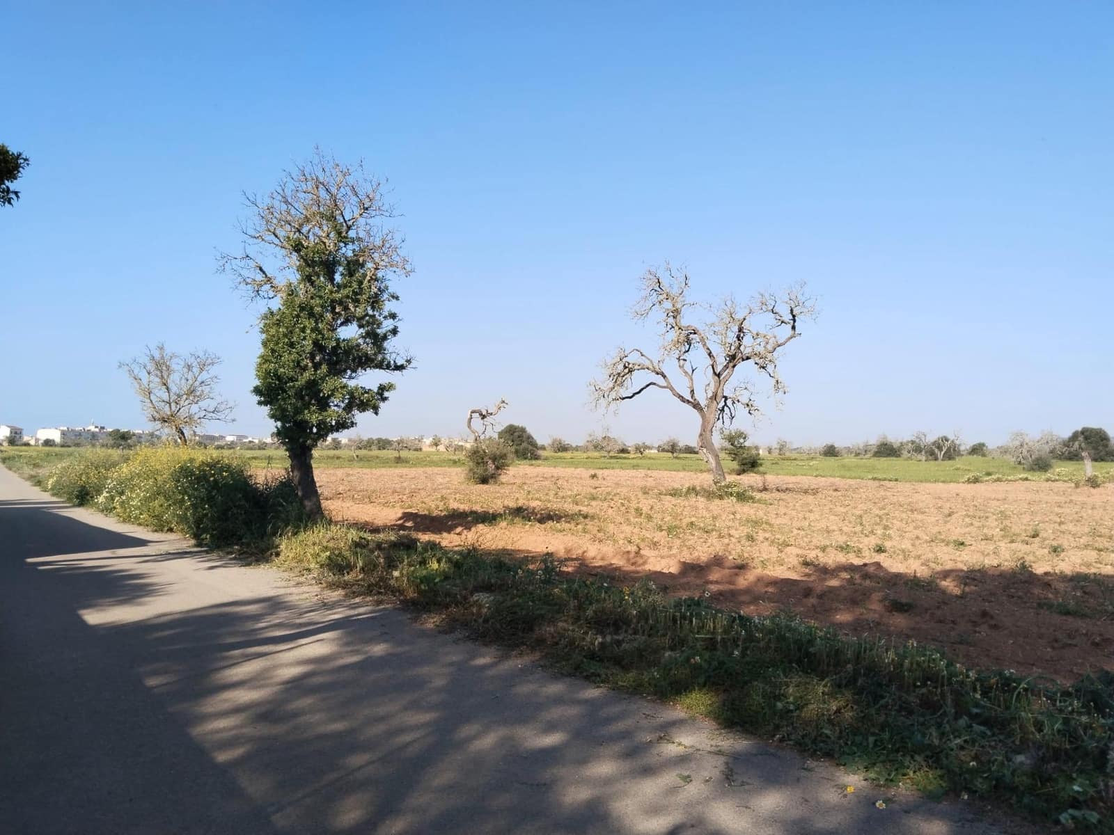 Undeveloped Land for sale in Campos - € 25,000 (Ref: 9721982)