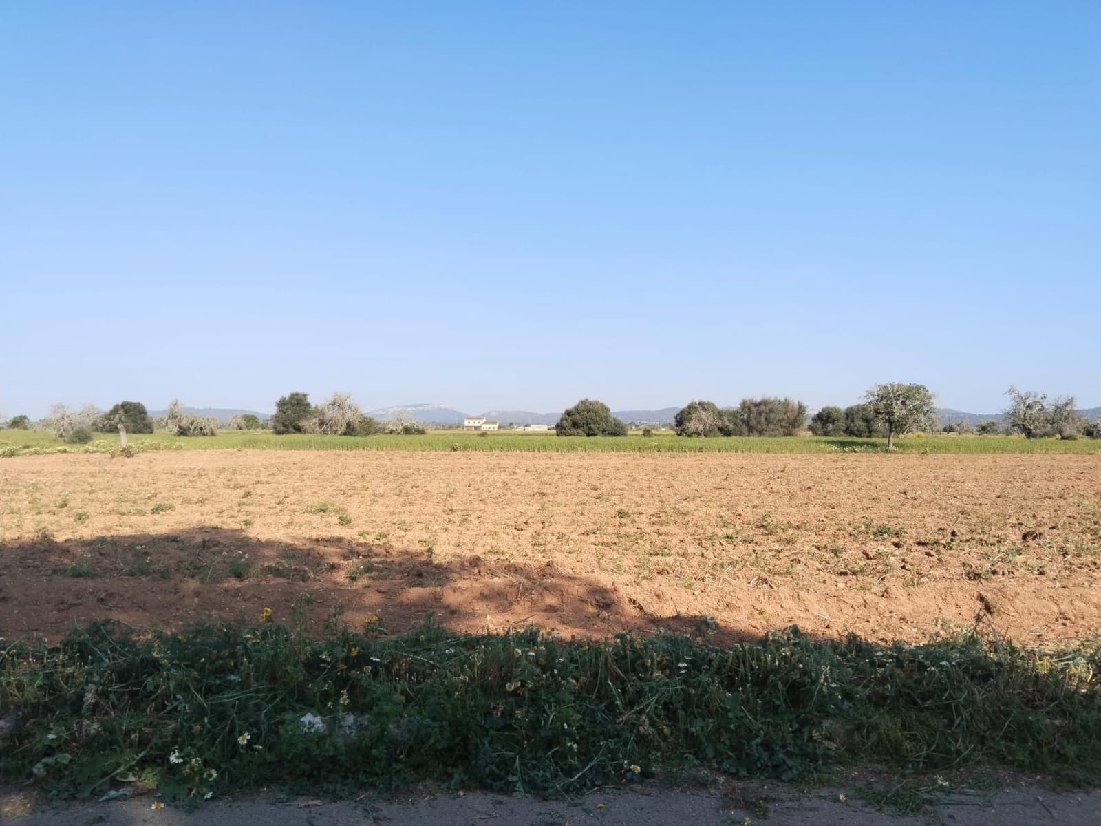 Undeveloped Land for sale in Campos - € 25,000 (Ref: 9721982)