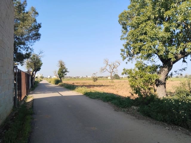 Teren niezagospodarowany na sprzedaż w Campos - 25 000 € (Ref: 9721982)