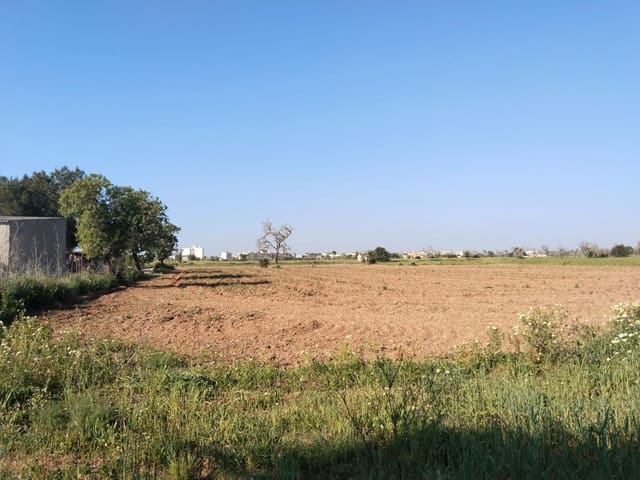 Teren niezagospodarowany na sprzedaż w Campos - 25 000 € (Ref: 9721982)