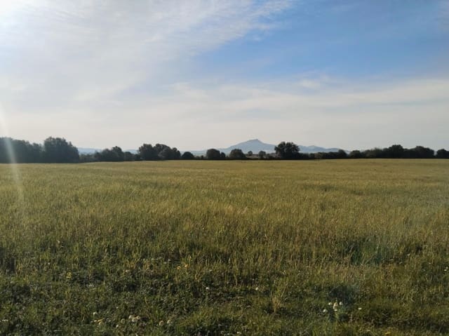 Terreno/Finca Rústica en Felanitx en venta - 600.000 € (Ref: 9773353)