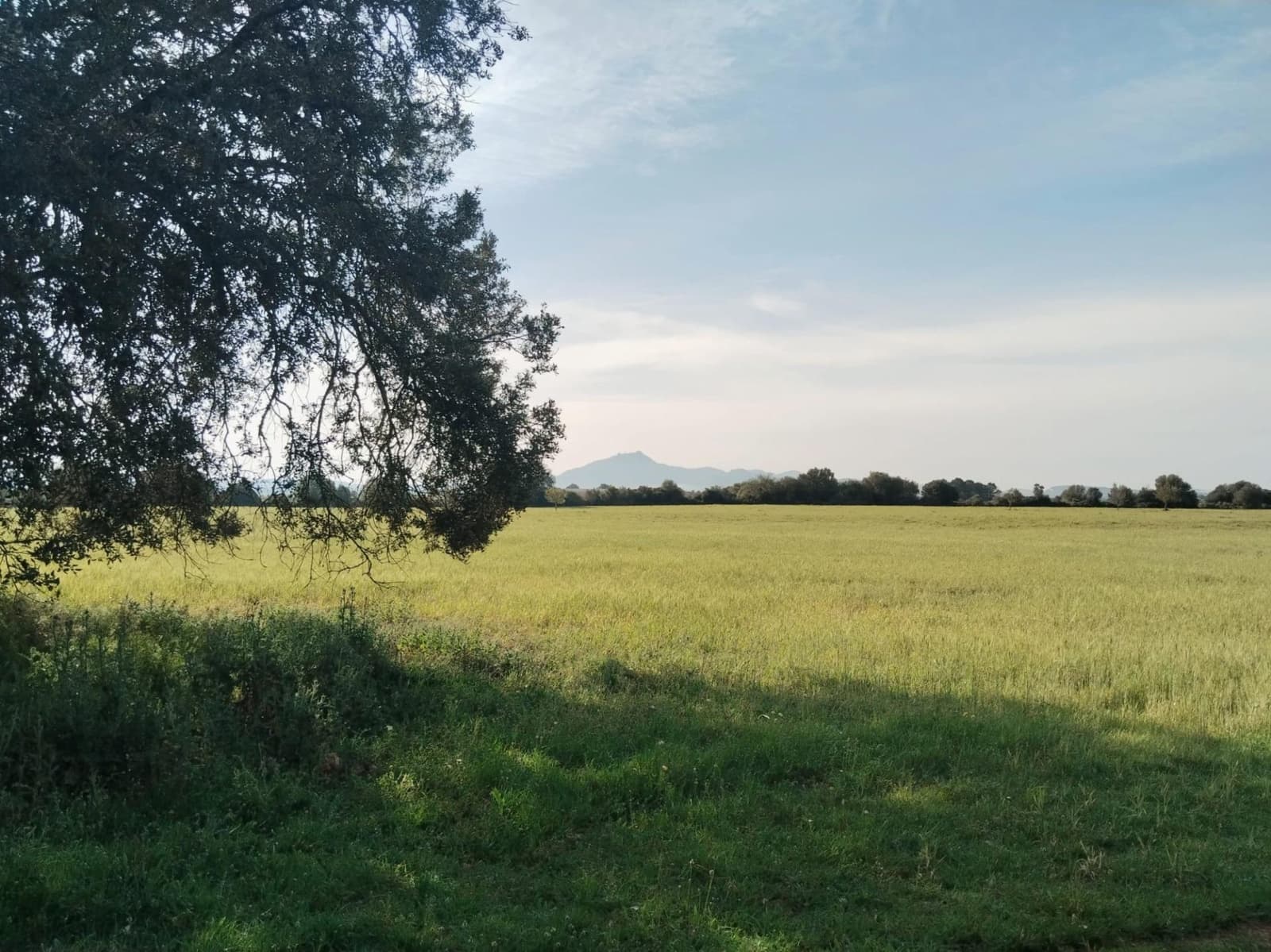 Terreno/Finca Rústica en Felanitx en venta - 600.000 € (Ref: 9773353)