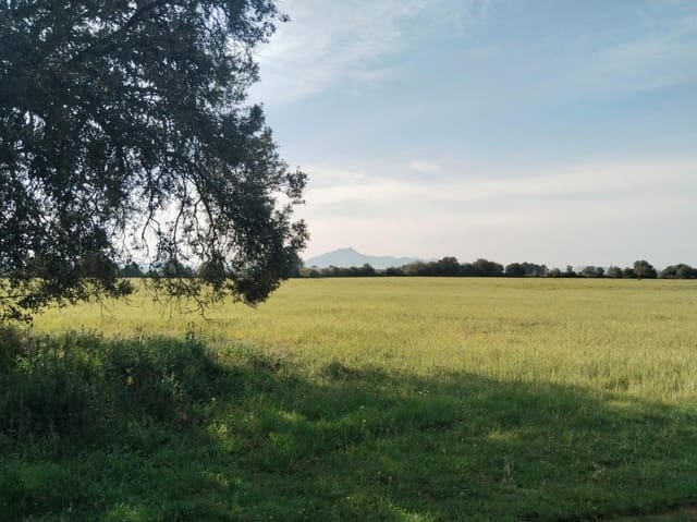 Terreno/Finca Rústica en Felanitx en venta - 600.000 € (Ref: 9773353)