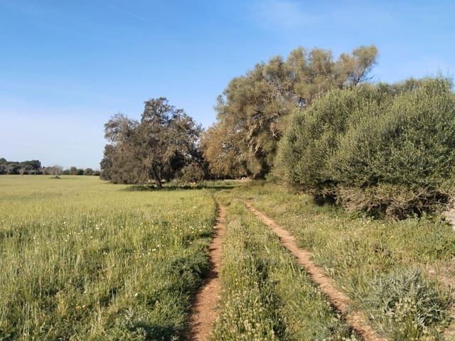 Terreno/Finca Rústica en Felanitx en venta - 600.000 € (Ref: 9773353)