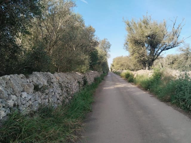 Terreno/Finca Rústica en Felanitx en venta - 600.000 € (Ref: 9773353)