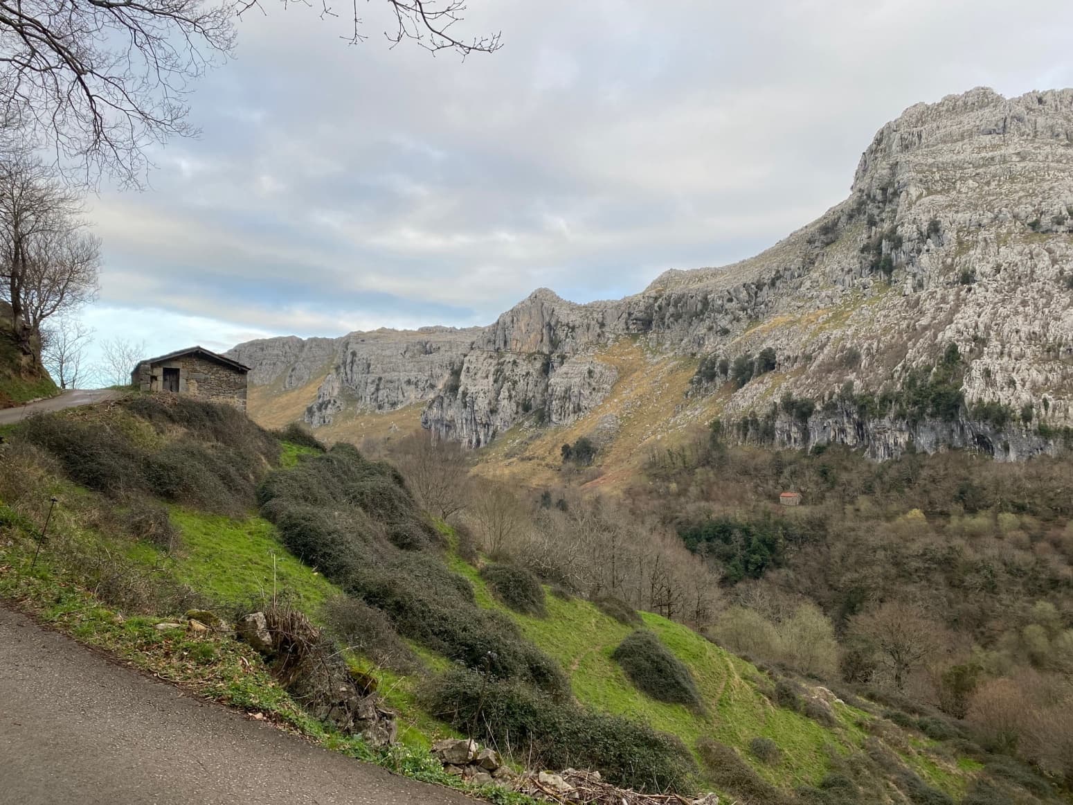 2 bedroom Business for sale in Miera - € 55,000 (Ref: 6664139)