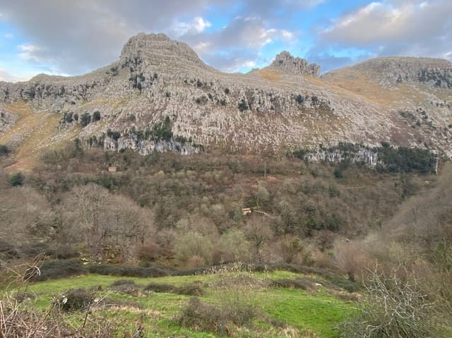 2 bedroom Business for sale in Miera - € 55,000 (Ref: 6664139)