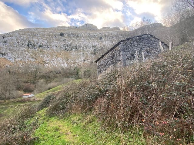 2 bedroom Business for sale in Miera - € 55,000 (Ref: 6664139)