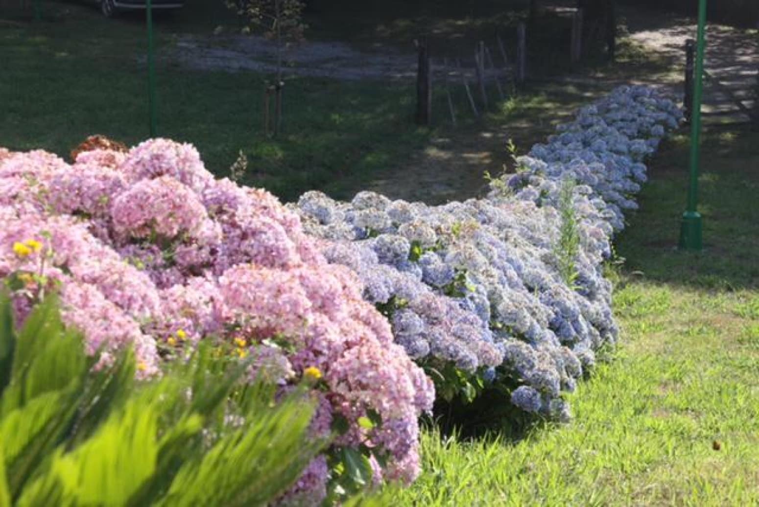 6 soveværelse Erhverv til salg i Penagos med garage - € 895.000 (Ref: 8461587)