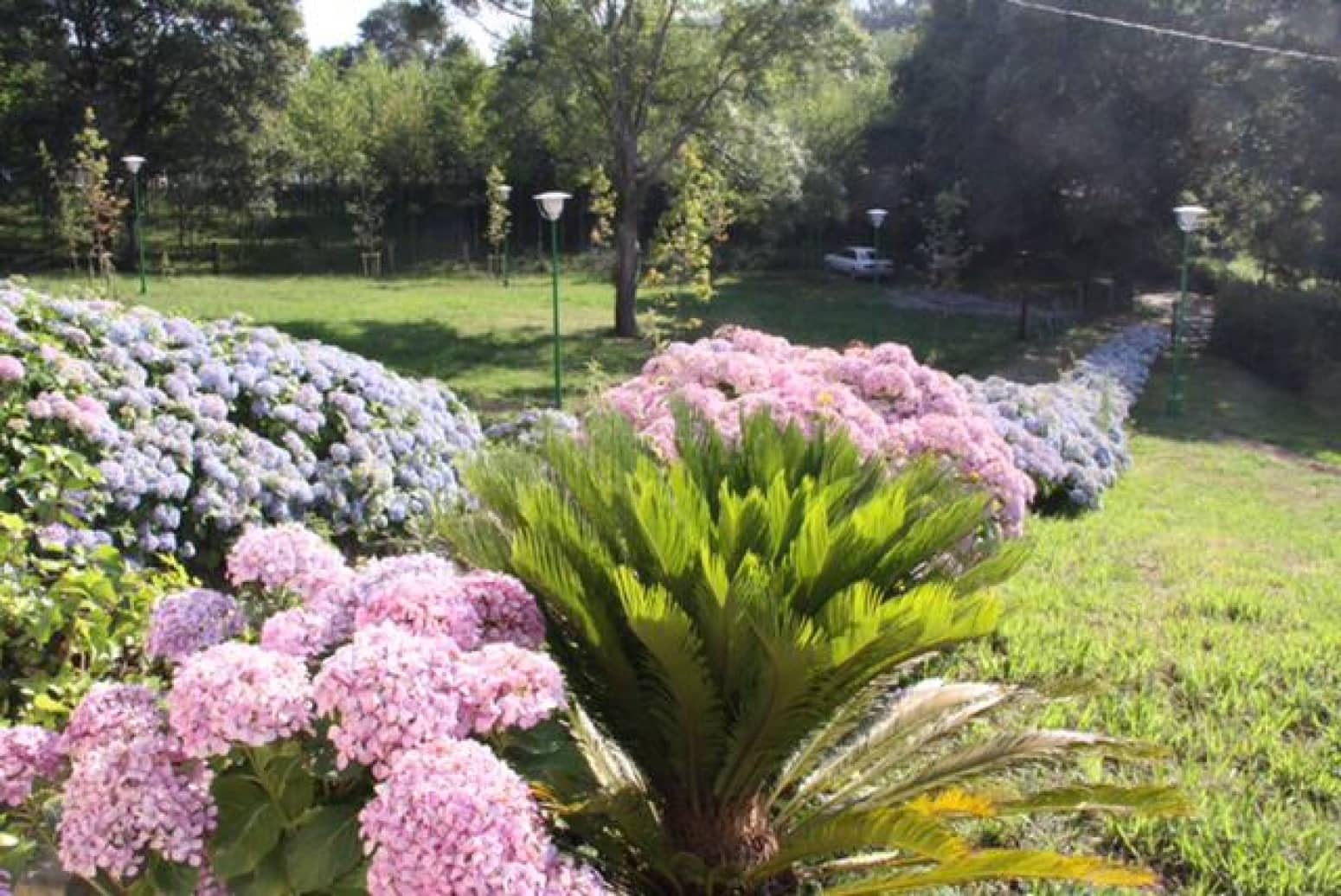 6 soveværelse Erhverv til salg i Penagos med garage - € 895.000 (Ref: 8461587)