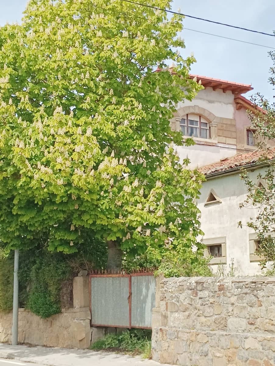 8 soveværelse Villa til salg i Campoo de Yuso - € 295.000 (Ref: 8896481)