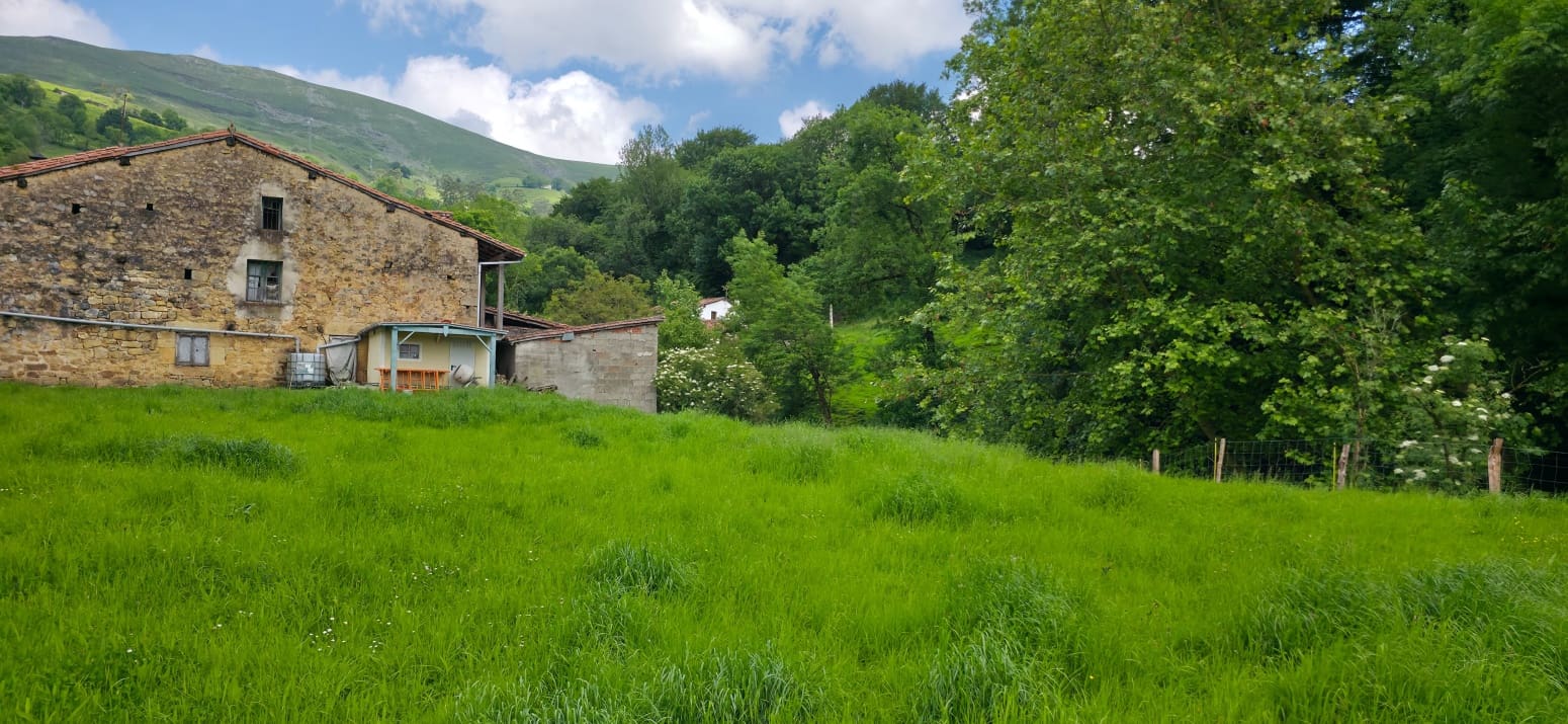 Działka budowlana na sprzedaż w Villacarriedo - 135 000 € (Ref: 9104343)