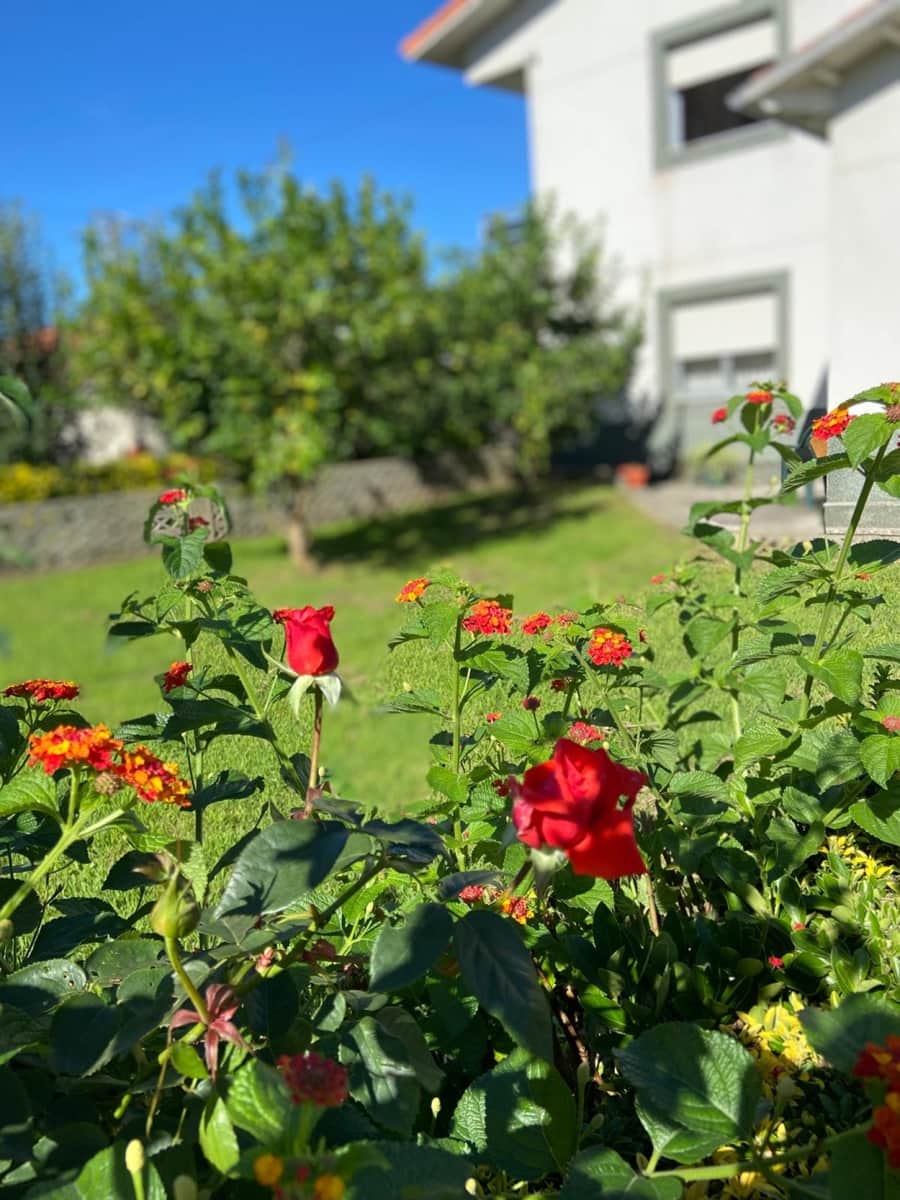 4 slaapkamer Villa te koop in Pielagos met garage - € 305.000 (Ref: 9312493)