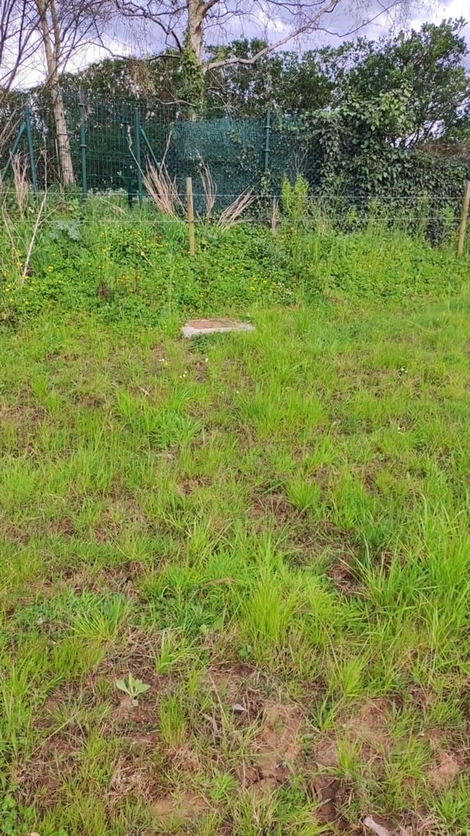 Tontti myytävänä paikassa Oruna - 105 000 € (Ref: 9406312)