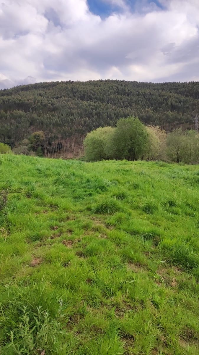 Solar/Parcela en Oruña en venta - 200.000 € (Ref: 9673948)