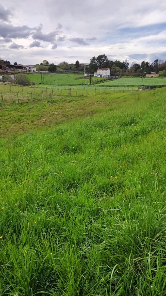 Solar/Parcela en Oruña en venta - 200.000 € (Ref: 9673948)