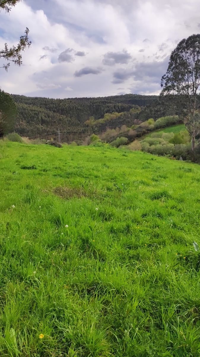 Solar/Parcela en Oruña en venta - 200.000 € (Ref: 9673948)