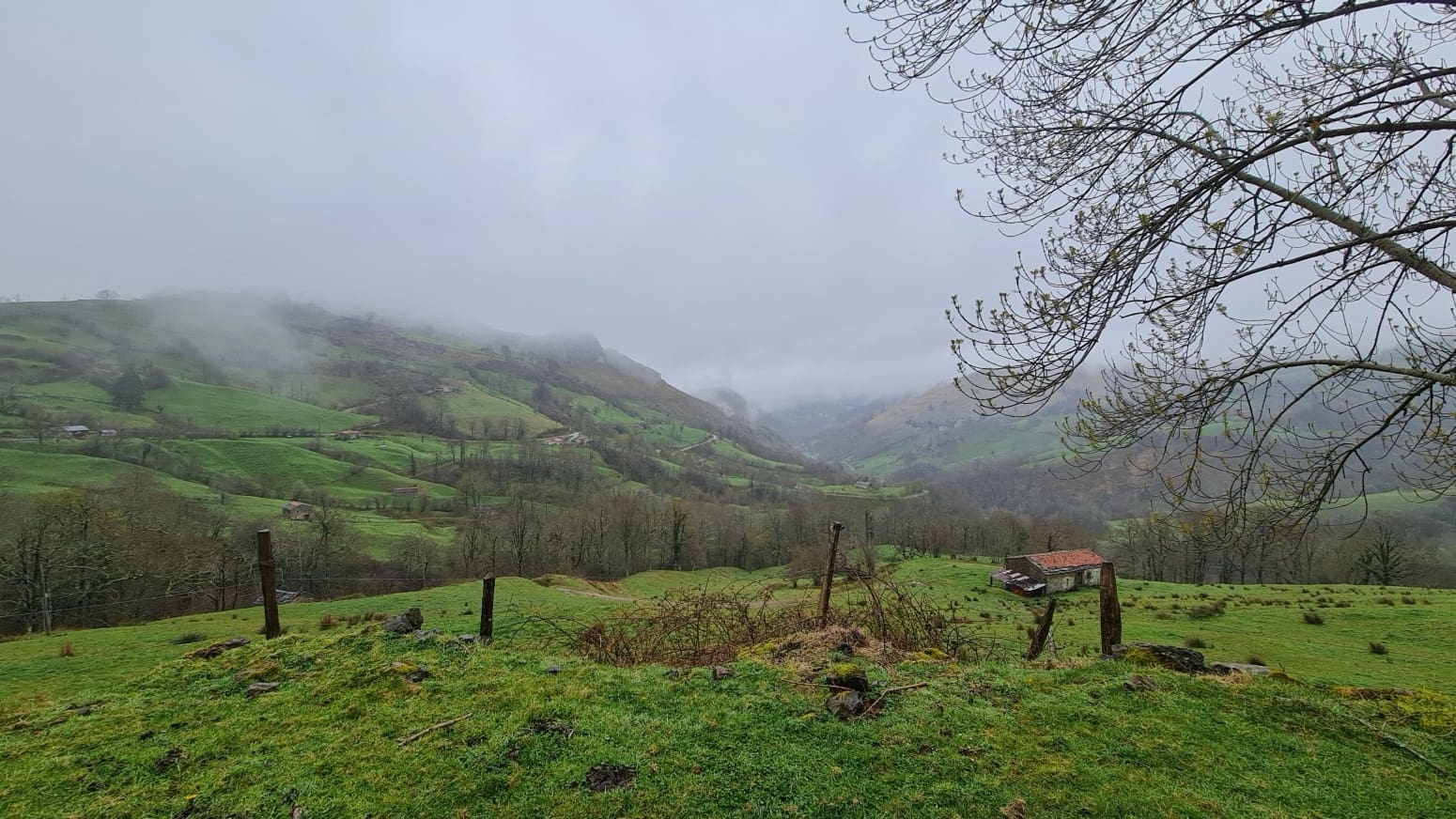 1 bedroom Business for sale in San Roque de Riomiera - € 175,000 (Ref: 9800562)