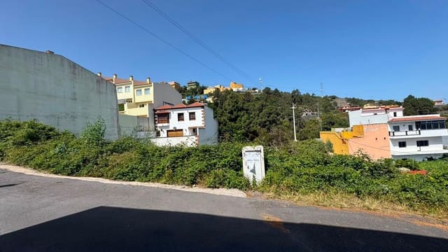 Terre non Aménagée à vendre à La Guancha - 41 000 € (Ref: 10021262)