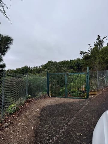 Mark till salu i Los Realejos - 100 000 € (Ref: 10021265)