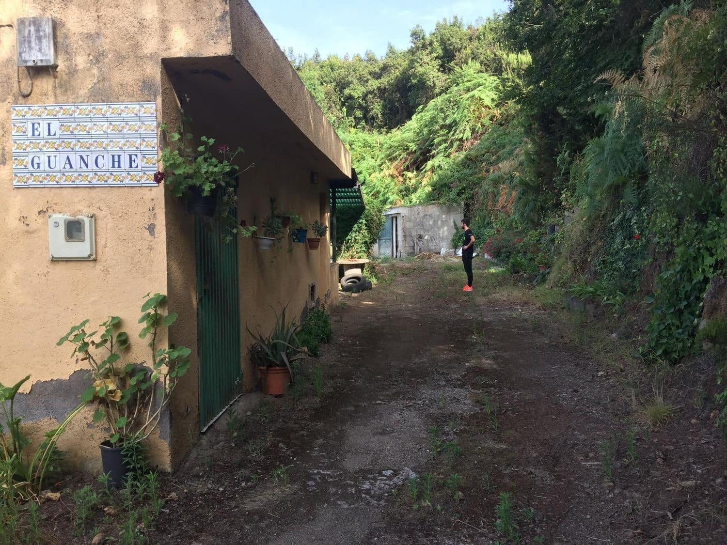 Mark till salu i Los Realejos - 100 000 € (Ref: 10021265)