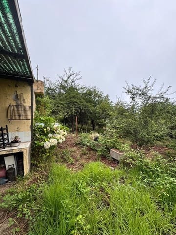 Mark till salu i Los Realejos - 100 000 € (Ref: 10021265)