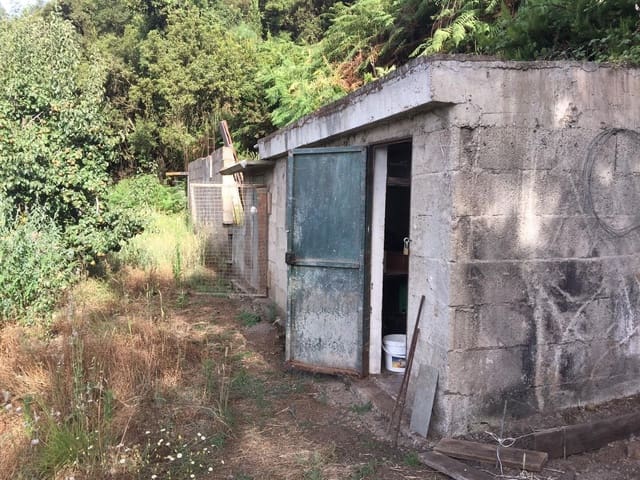 Mark till salu i Los Realejos - 100 000 € (Ref: 10021265)