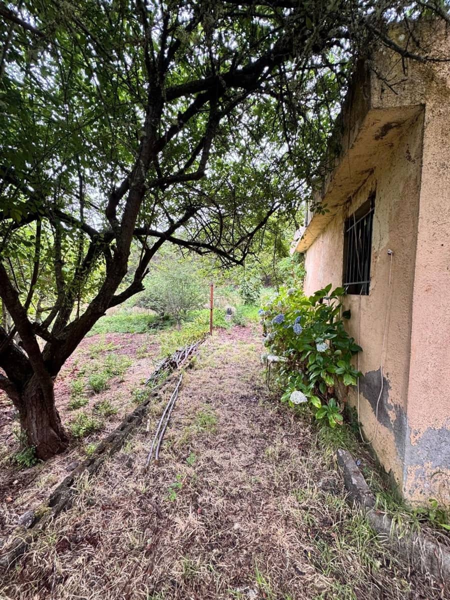 Mark till salu i Los Realejos - 100 000 € (Ref: 10021265)