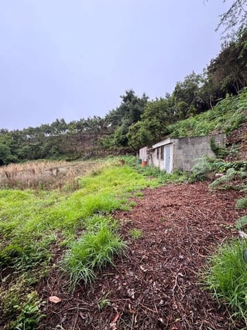 Mark till salu i Los Realejos - 100 000 € (Ref: 10021265)