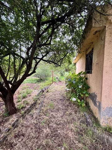 Mark till salu i Los Realejos - 100 000 € (Ref: 10021265)