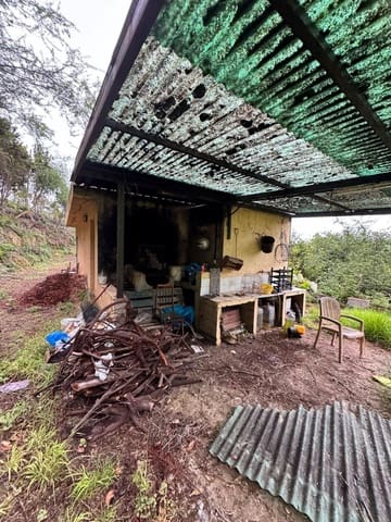 Mark till salu i Los Realejos - 100 000 € (Ref: 10021265)