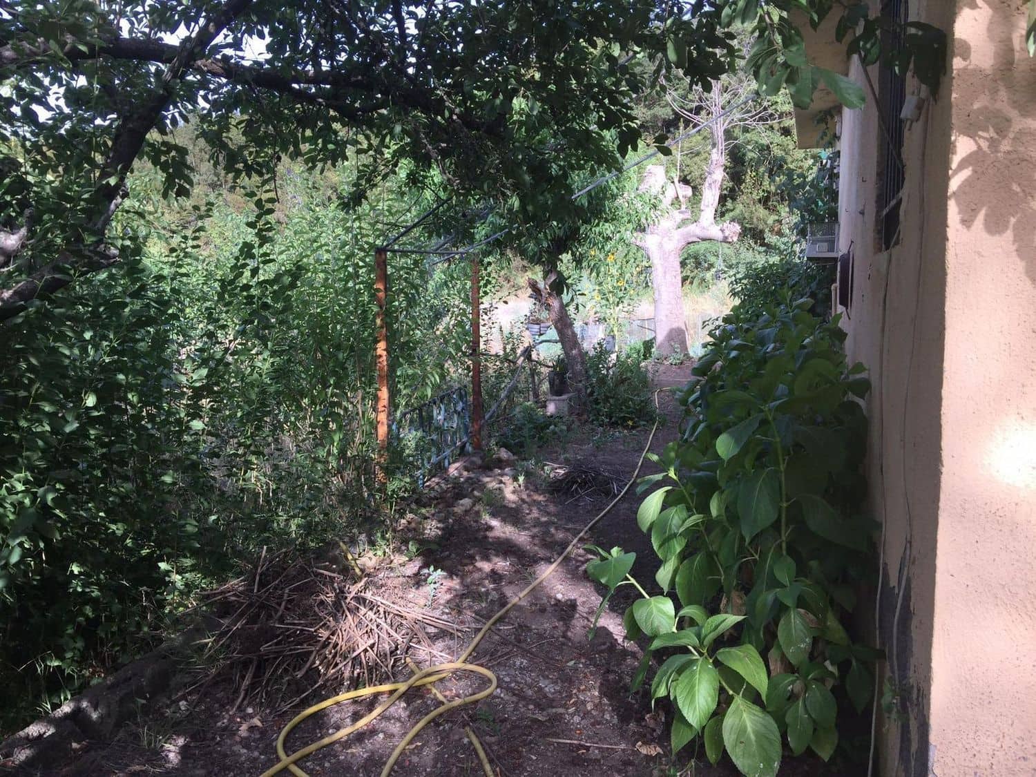 Mark till salu i Los Realejos - 100 000 € (Ref: 10021265)