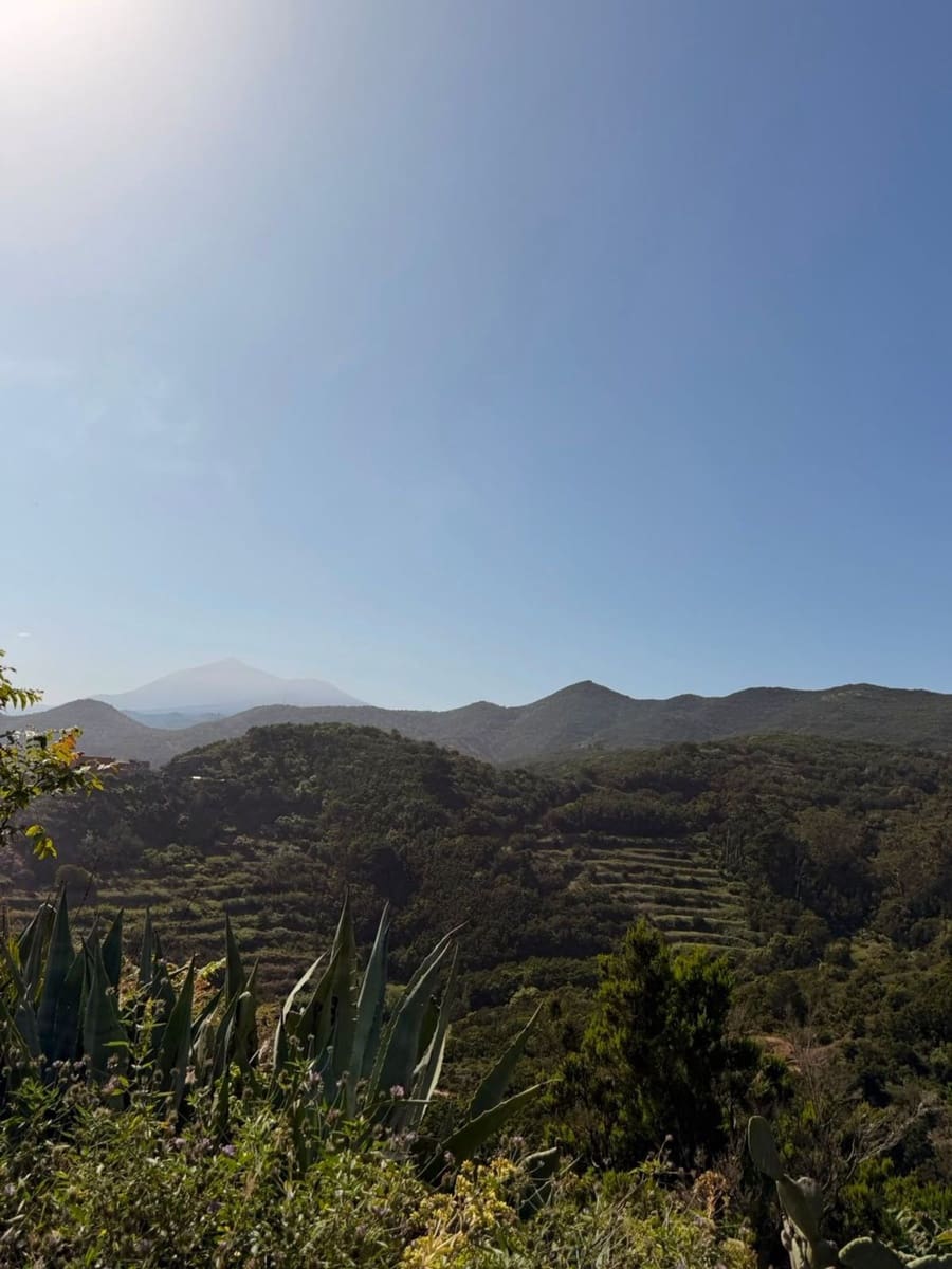 2 slaapkamer Finca/Landhuis te huur in Buenavista del Norte met garage - € 500 (Ref: 10021267)