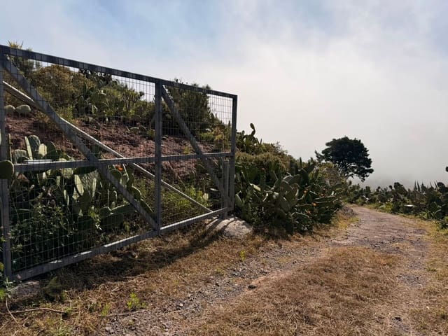 Finca/Maison de Campagne de 2 chambres à louer à Buenavista del Norte avec garage - 500 € (Ref: 10021267)