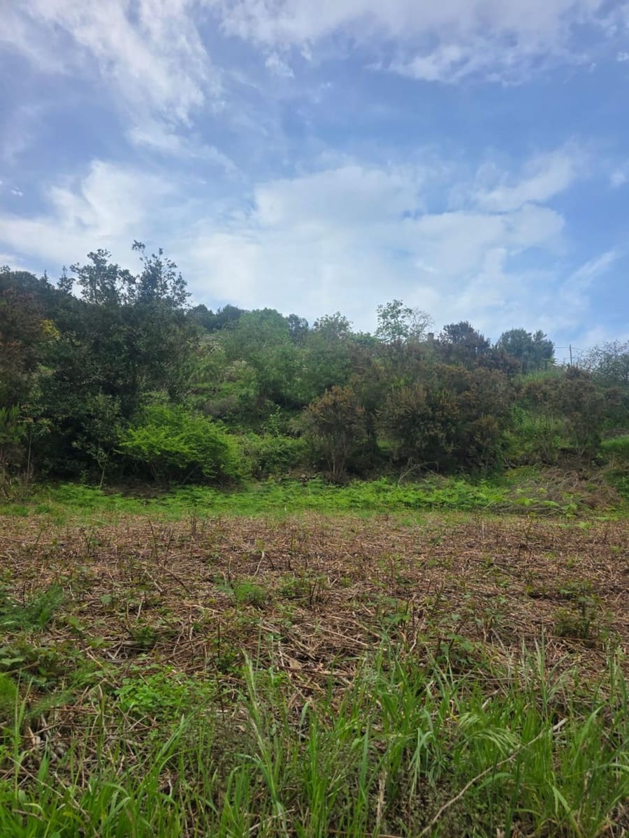 Ubebygd land til salgs i Santa Cruz de Tenerife - € 55 000 (Ref: 10021290)