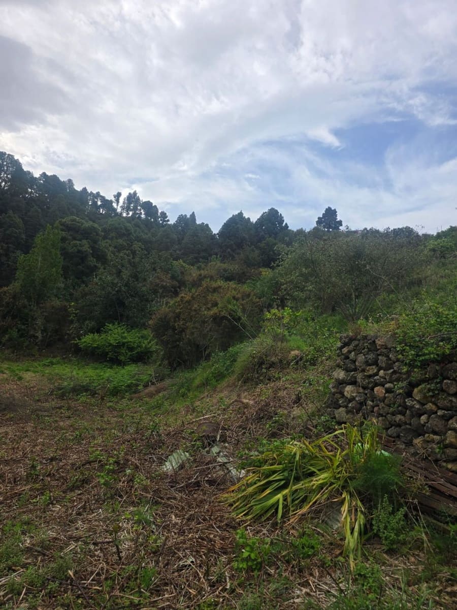 Ubebygd land til salgs i Santa Cruz de Tenerife - € 55 000 (Ref: 10021290)