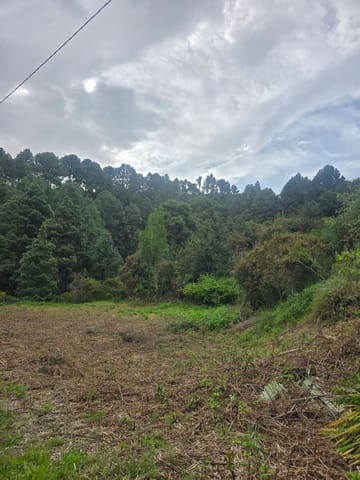 Ubebygd land til salgs i Santa Cruz de Tenerife - € 55 000 (Ref: 10021290)