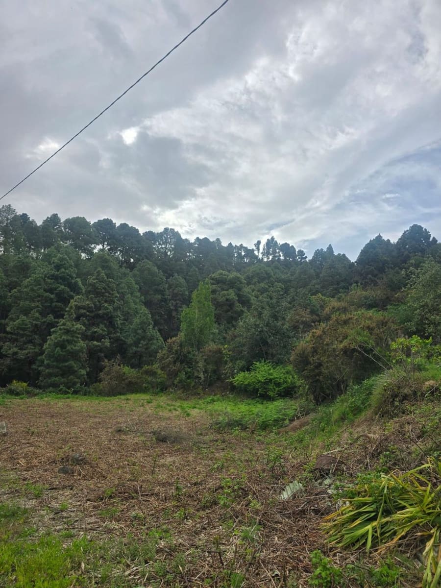 Ubebygd land til salgs i Santa Cruz de Tenerife - € 55 000 (Ref: 10021290)