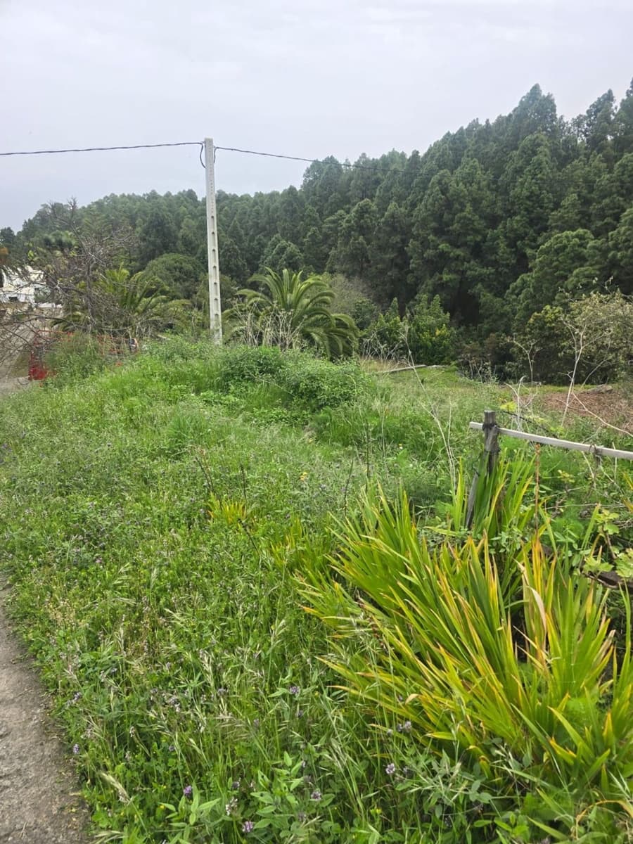 Ubebygd land til salgs i Santa Cruz de Tenerife - € 55 000 (Ref: 10021290)