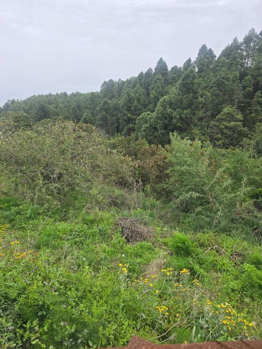 Ubebygd land til salgs i Santa Cruz de Tenerife - € 55 000 (Ref: 10021290)