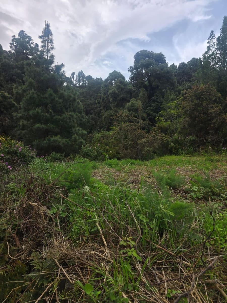 Ubebygd land til salgs i Santa Cruz de Tenerife - € 55 000 (Ref: 10021290)