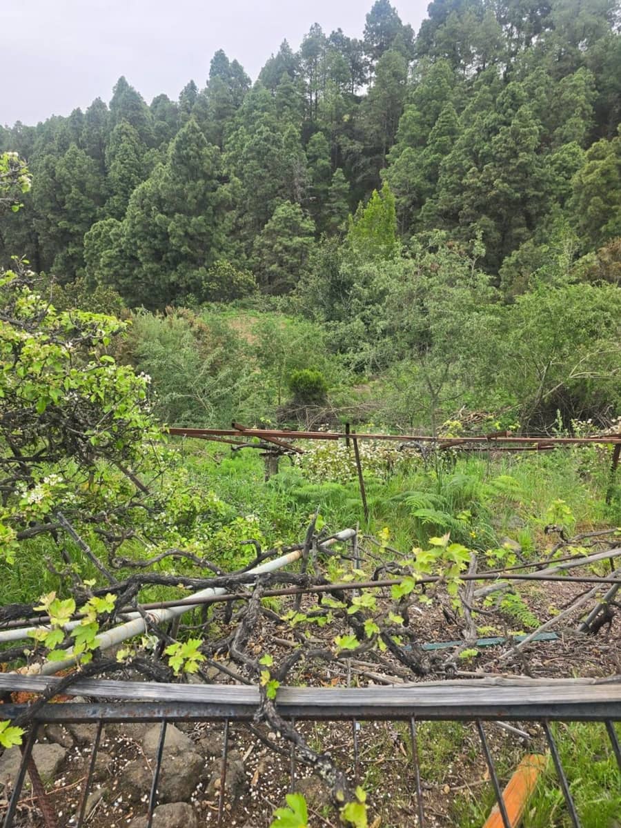 Ubebygd land til salgs i Santa Cruz de Tenerife - € 55 000 (Ref: 10021290)