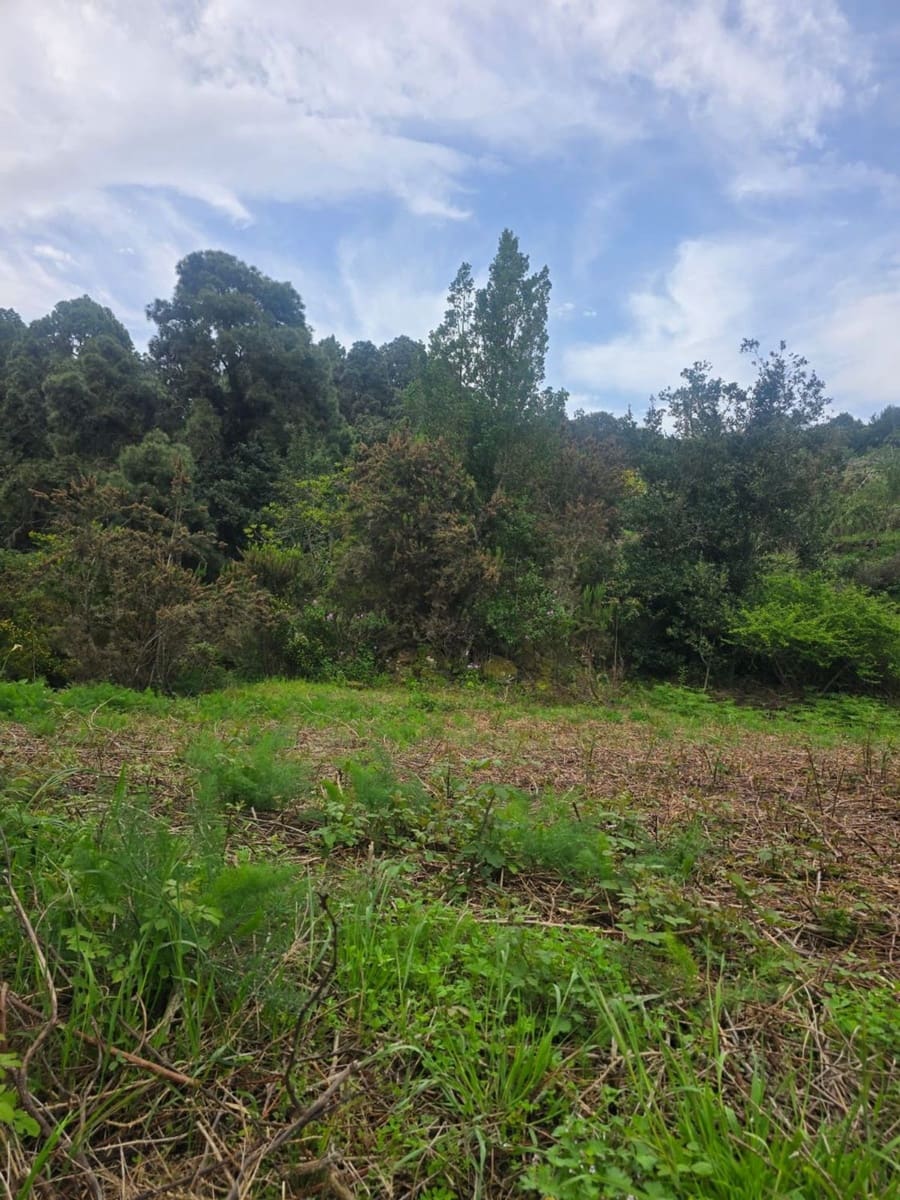 Ubebygd land til salgs i Santa Cruz de Tenerife - € 55 000 (Ref: 10021290)